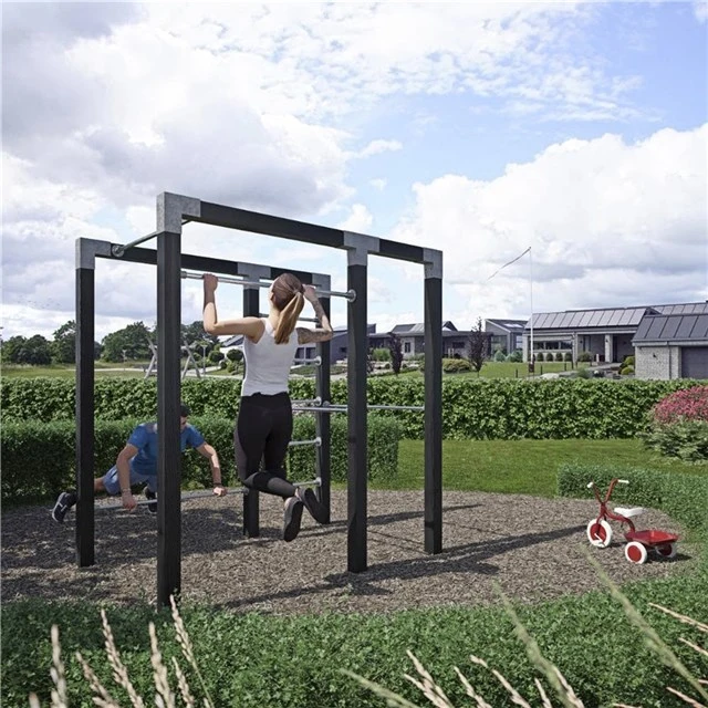 Plus Outdoor Fitnessstativ 220 x 138 x 210 cm Sort